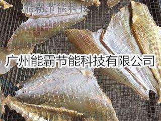 鲤鱼烘干机、海产品烘干机