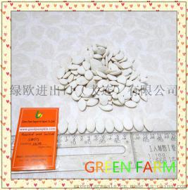 盐烤雪白南瓜子13CM