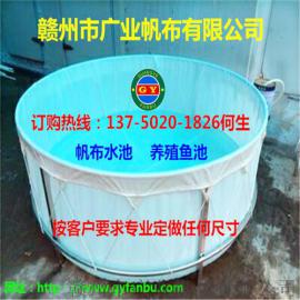 帆布水池订做，帆布鱼池批发，帆布水池价格