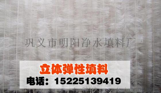 重庆立体弹性填料，污水处理生物挂膜填料