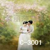 婚纱主题摄影背景