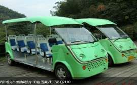 汽油观光车 (WLQ2110)