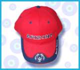 休闲帽（tf-fa043）