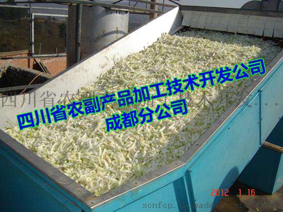 萝卜烘干机，小型萝卜烘干机，萝卜干快速烘干机