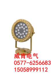 隔爆型LED防爆灯，80W防爆LED灯，隧道专用防爆灯
