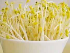 新农村绿色豆芽菜—绿豆芽