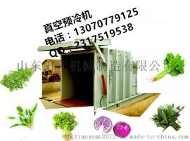 果蔬真空预冷机 真空无菌快速冷却机专业制造商熟食蔬果快速冷却降温