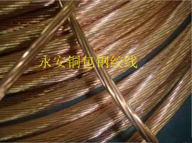铜包钢绞线适用于什么地质环境