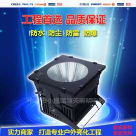 飞利浦XC-TDD300w400w500w塔吊球场投光灯，建筑工地，立交桥，商场照明灯
