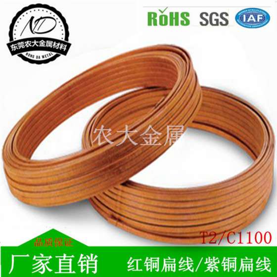 专业供应 环保C1100紫铜扁线 红铜扁线价格 T2裸铜扁线 精度高 公差小