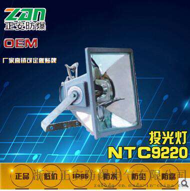 海洋王金卤灯NTC9220 400W投光灯