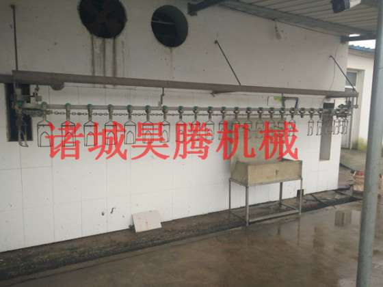 诸城昊腾机械鹌鹑宰杀设备流水线