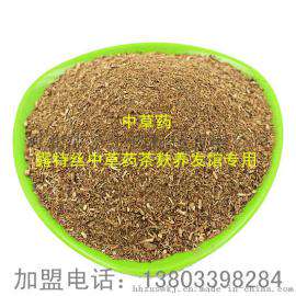 湘潭中草药茶麸姜疗 衡阳中草药茶麸洗头养发馆头疗养生