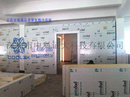 专业供应 保鲜冷库 大型保鲜冷库 蔬菜保鲜冷库 保鲜冷藏冷库