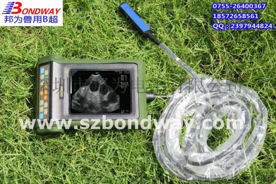 底价供应 超声波扫描仪 超声波诊断仪兽用B超 宠物医疗器械