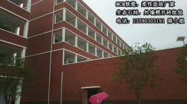软瓷外墙砖高端柔性面砖厂家