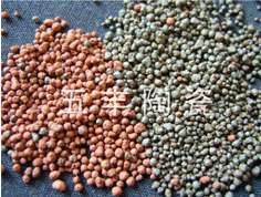 高效挂膜轻质生物陶粒