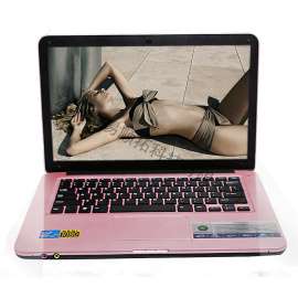 ESPIEGLE L600-13.3寸 Intel 双核 win8 光驱笔记本电脑