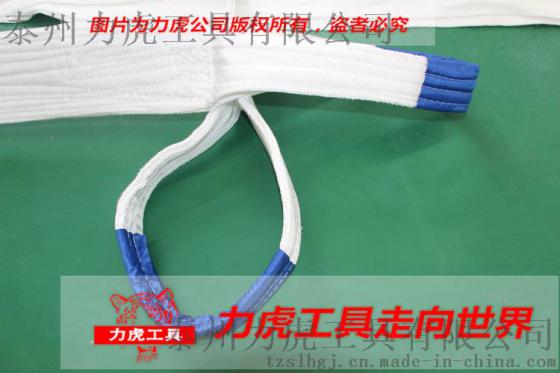 5T*2.5M白色扁平吊带 起重吊带 可定做