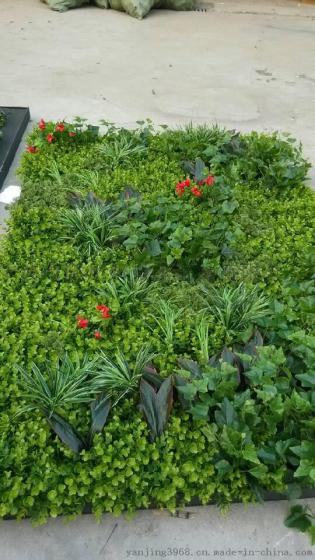 宜宾泸州仿真植物墙 内江植物墙生产 雅安仿真绿植墙 达州广安仿真绿植墙 宜宾泸州仿真植物墙 内江植物墙生产 雅安仿真绿植墙 达州广安仿真绿植墙 宜宾