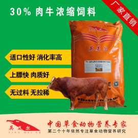 西门塔尔育肥牛要做哪些准备 西门塔尔牛养殖知识