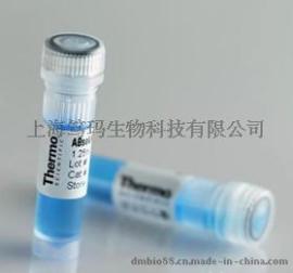 整合素样金属蛋白酶与凝血酶1型抗体 ADAMTS1