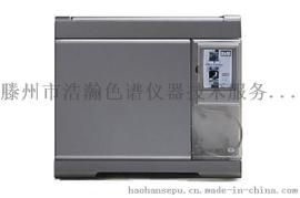 煤气中硫化氢含量测定气相色谱仪