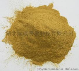 厂家供应侧柏叶提取物 80目