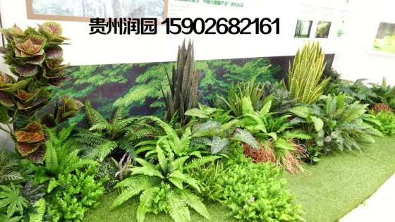 修文室内生态绿化装饰及仿真植物屏风工程润园全权承包