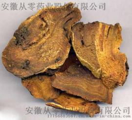 大黄 马蹄统货 产地 甘肃 优质供应