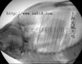 便携式x光机x射线机x光透视仪