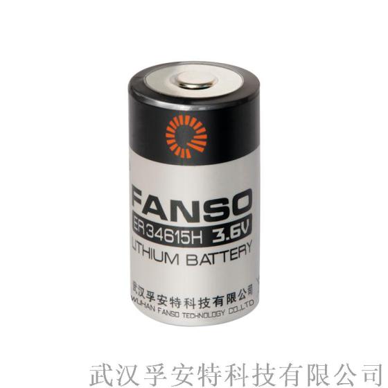 ER34615 ER34615H孚安特 能量型FANSO 3.6V锂亚硫酰氯电池