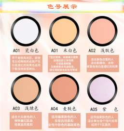 化妆品一手货源批发 化妆师专用粉底膏 厂价直供