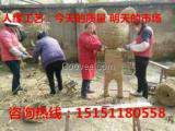 风格独特的稻草人订做厂家 无中介面对面直接价格稻草人订做