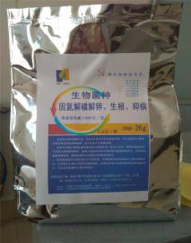 生物菌种，山东生物肥料厂诚招加盟厂