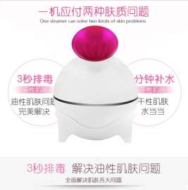 美颜器厂家正品 便携式喷雾器 热喷蒸脸器 纳米水仪美容补水仪器