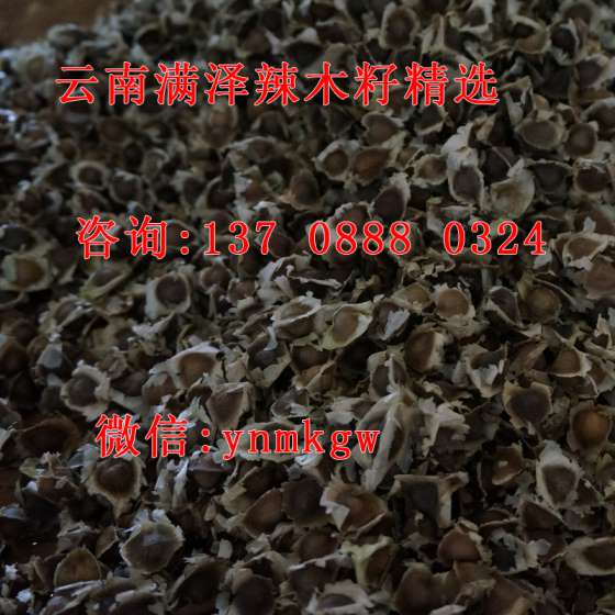 辣木籽味道，辣木籽的味道与病状，辣木籽的味道代表什么