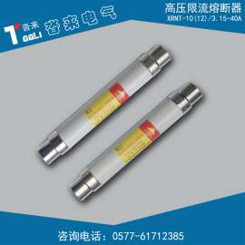 51*360mm变压器保护用高压限流熔断器XRNT-10/20A