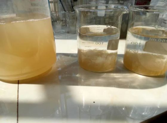 提高聚丙烯酰胺的利用率使其效果发挥到最大极限--新奇净水