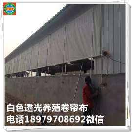山东聊城养殖场卷帘布批发厂家定做 窗帘布 牛场卷帘布 猪场卷帘布