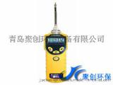 化工厂专供现货 美国华瑞PGM-7300VOC检测仪