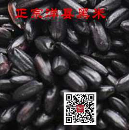 优质散装黑米批发原产地洋县黑米种植基地直供