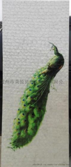 贝壳墙纸