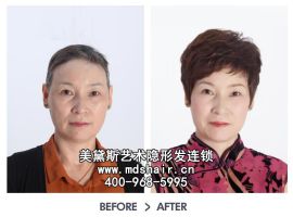 上海美黛斯假发多少钱