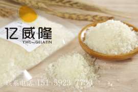 医用/医药用明胶