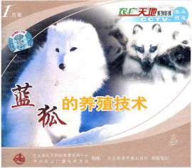 狐狸养殖技术视频大全狐狸人工授精蓝狐养殖技术教程