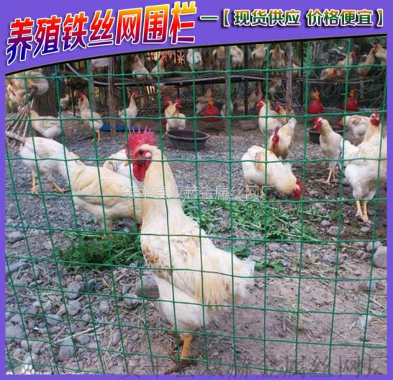 双赫养鸡围栏网生产厂家 养鸡铁丝网 山地养殖围栏