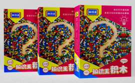 小颗粒积木 彩盒1000粒 知识王积木