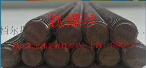 栢尔斯道弗钛螺丝TA2