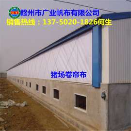 供应优质 猪场卷帘布 畜牧养殖设备 卷帘布 猪场卷帘图片
